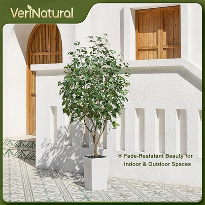 6ft Tall Artificial Ficus Tree in White Planter with Pebbles | UV Resistant Faux Tree for Indoor & Outdoor | Realistic Floor Plant Decor for Home, Office (VN128)