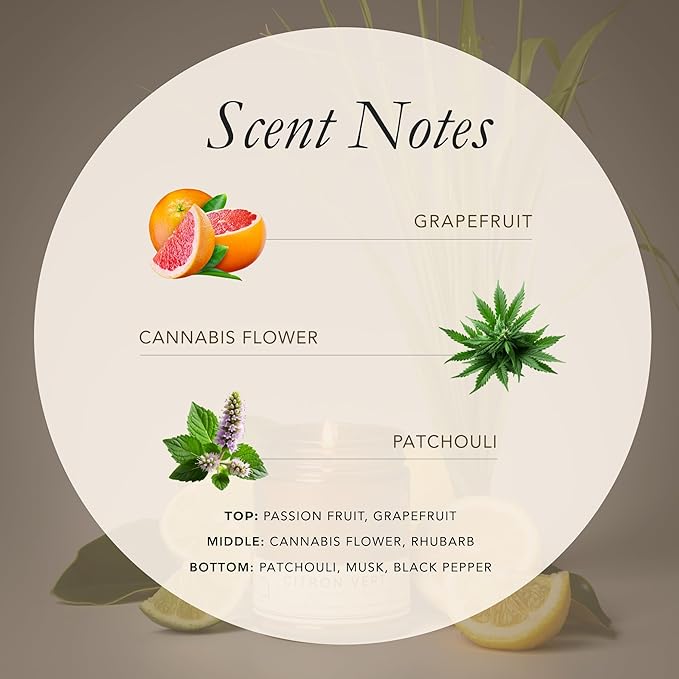 Bia Candle Co Soy Blend Candle, Smoky Herbal Cannabis with Patchouli, Musk & Black Pepper, Passion Fruit & Grapefruit – Clean Burn, Lead-Free Wick – Let’s Get Lit, 7 oz
