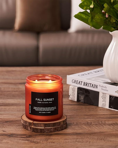 M&SENSE Baltic Amber Scented Candle, Clean Soy Wax Non Toxic 11.6oz 70 Hours Long Lasting Burn, Double Cotton Wick, Relaxing Aromatherapy Candles for Stree Relief, Winter Holiday Gifts Women Men