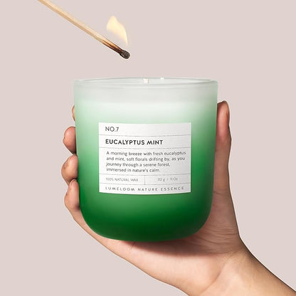 Eucalyptus & Mint Scented Candle, 11oz Aromatherapy Soy Wax Candles for Home Scented, Long Lasting, Eucalyptus Scent, Green Color, Gift for Women, Men, Sisters, Relaxation & Stress Relief