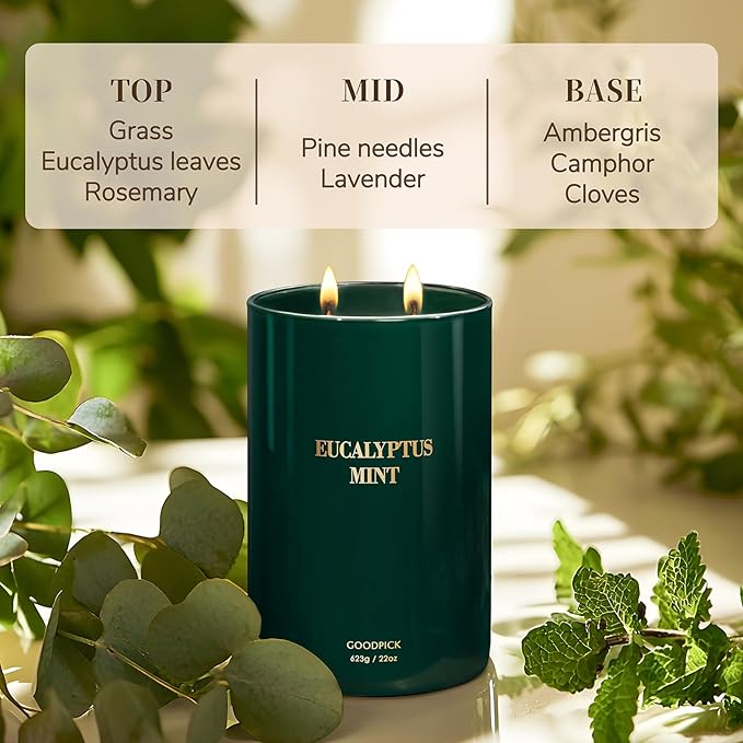 Goodpick Candle Eucalyptus Mint, Soy Candles for Home Scented, Stress Relief, 22oz Long Lasting 120 Hours