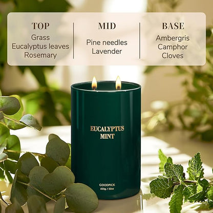 Goodpick Candle Eucalyptus Mint, Soy Candles for Home Scented, Stress Relief, 22oz Long Lasting 120 Hours