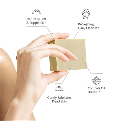 100% Natural Bar Soap w/Organic Ingredients, Vegan Soap, Moisturizing, Handmade, Scented w/Premium Essential Oils, Body Soap Bars for Women & Men