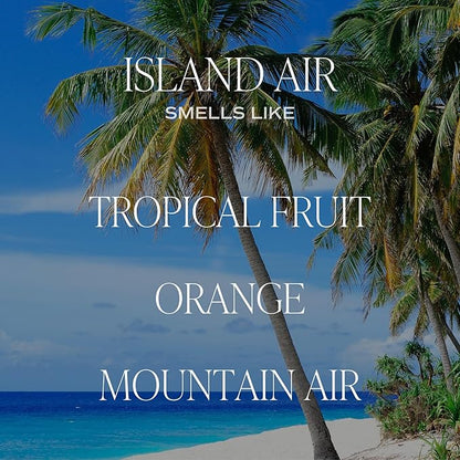 Sweet Water Decor Island Air Reed Diffuser Set | Tropical Fruits, Citrus, Sugar, Exotic Mountain Greens | Long Lasting | Summer Diffuser Oil