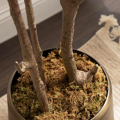 Kate and Laurel Oliveira Faux Olive Tree with Jia Curved Planter Pot, 7 FT, Cream, Potted Artificial Tree Indoor with Realistic Foliage and Added Moss, Fake Plant for Living Room Decor