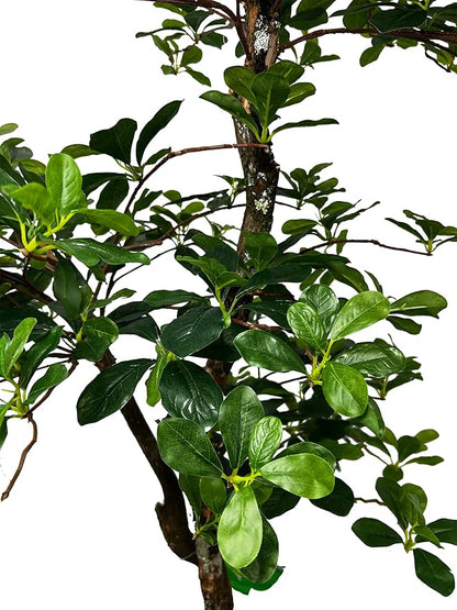 Cypress & Alabaster Handmade 5ft 3-Tier Black Olive Leaf Artificial Tree with Ethically Sourced Real Wood Trunks, Hypoallergenic, 5-Foot, Green