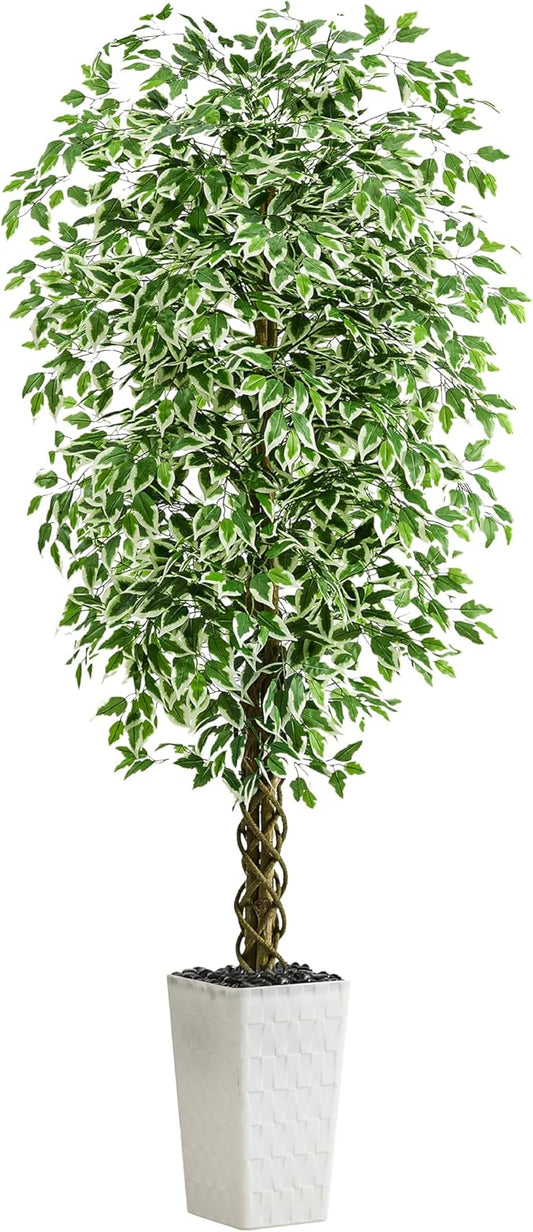 Artificial Ficus Tree (1, Crack-White, 6FT)