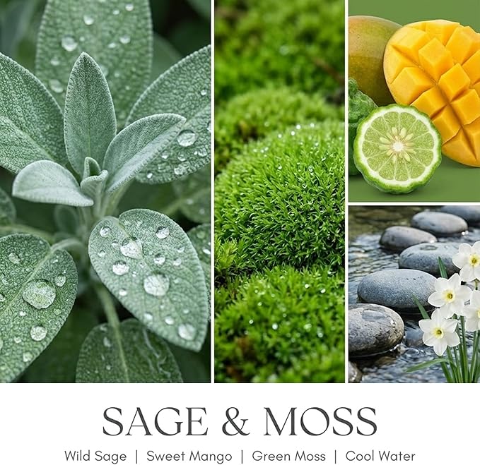 HomeLights Scented Candles for Women & Men, 18oz Candle Jars Aromatherapy 4-Wick Candle, Ideal for Scandinavian Minimalist Design Home Decor and Gifts, Sage & Moss