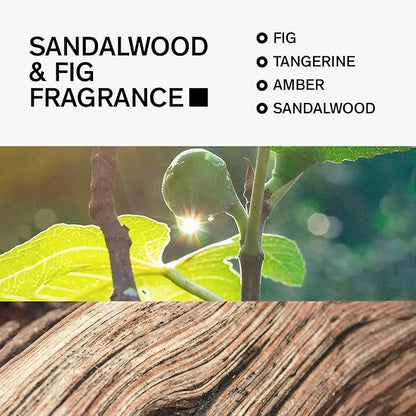 Aluminum-Free Deodorant for Men by Bravo Sierra, 2-Pack - Contains Natural Ingredients – Long Lasting All-Day Odor and Sweat Protection - Sandalwood and Fig, 3.2 oz -Paraben-Free, Vegan & Cruelty-Free