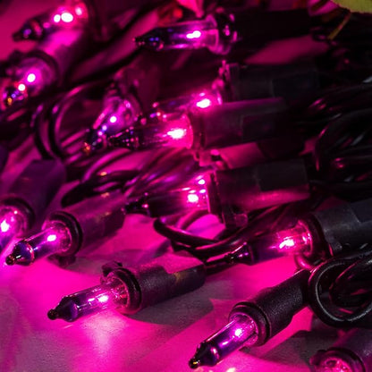 200 Count Purple Christmas Lights, Pack of 2 Strands 100 Count 33 ft Black Wire UL Listed Halloween String Light (Purple)