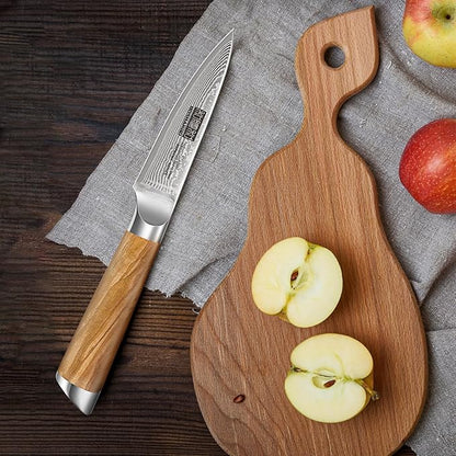 Damascus Paring Knife 3.75 Inch, Professional 67 Layers Damascus Super Steel Small Fruit Knife, Super Sharp Hand Forged Japanese Paring Knife