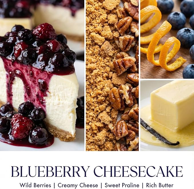 HomeLights Scented Candles for Women & Men, 6.7oz Candle Jars Aromatherapy Single Wick Candle, Ideal for Rustic Modern Home Decor and Gifts, Blueberry Cheesecake