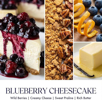 HomeLights Scented Candles for Women & Men, 6.7oz Candle Jars Aromatherapy Single Wick Candle, Ideal for Rustic Modern Home Decor and Gifts, Blueberry Cheesecake