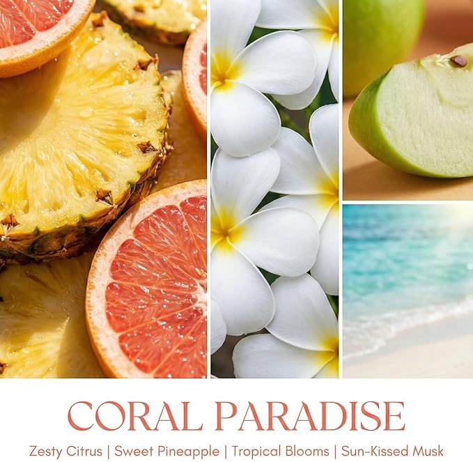 HomeLights Coral Paradise Scented Candles | 6.7oz Soy Candles Bohemian Natural Textures Large Candle Jars | Ideal Candle Gifts for Events, Home Decor Stress, Relief & Relaxation