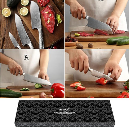 3 Pieces Damascus Kitchen Knife Set with 8” Chef Knife, 7” Santoku Knife, 3.5” Paring Knife, 67 Layer Handmade Damascus VG10 Steel Core, Hammered Ergonomic Handle (Gift Box)