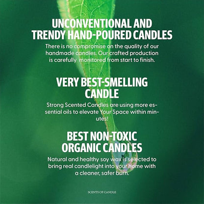 Hidden Label Scented Candles Gifts for Women, Small Soy Candles 4pack Candle Gift Set for Mom Sister Girlfriend, Ideal Gifts for Birthday Valentines Day Mothers Day Christmas(Set 1)