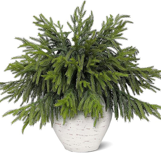 20 Pcs Real Touch Norfolk Pine Branches, Artificial Christmas Green Plants Branch Faux Greenery Stem Fake Pine Picks for Vase DIY Crafts Garland Wreath Xmas Indoor Outdoor Decor(18 Inches)