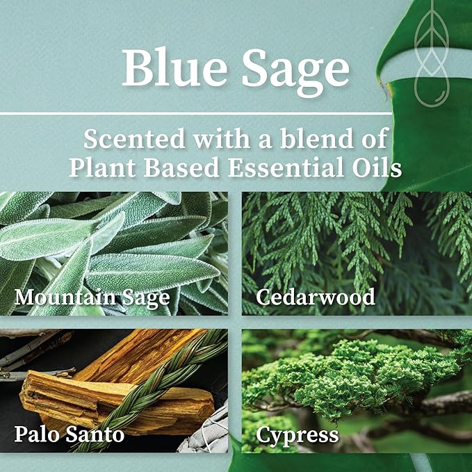 Hemlock Park Crackling Wood Wick Candle Handcrafted with Natural Coconut Wax (Small 4 oz, Blue Sage)