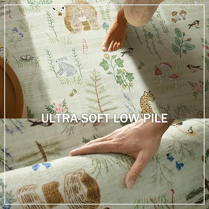 Washable Door Mat Indoor Entrance: 2x3 Entryway Rugs Small Area Rug Non-Slip Low Pile Soft Kitchen Rug for Front Door Indoor Entrance Entry Bedside Kids Room