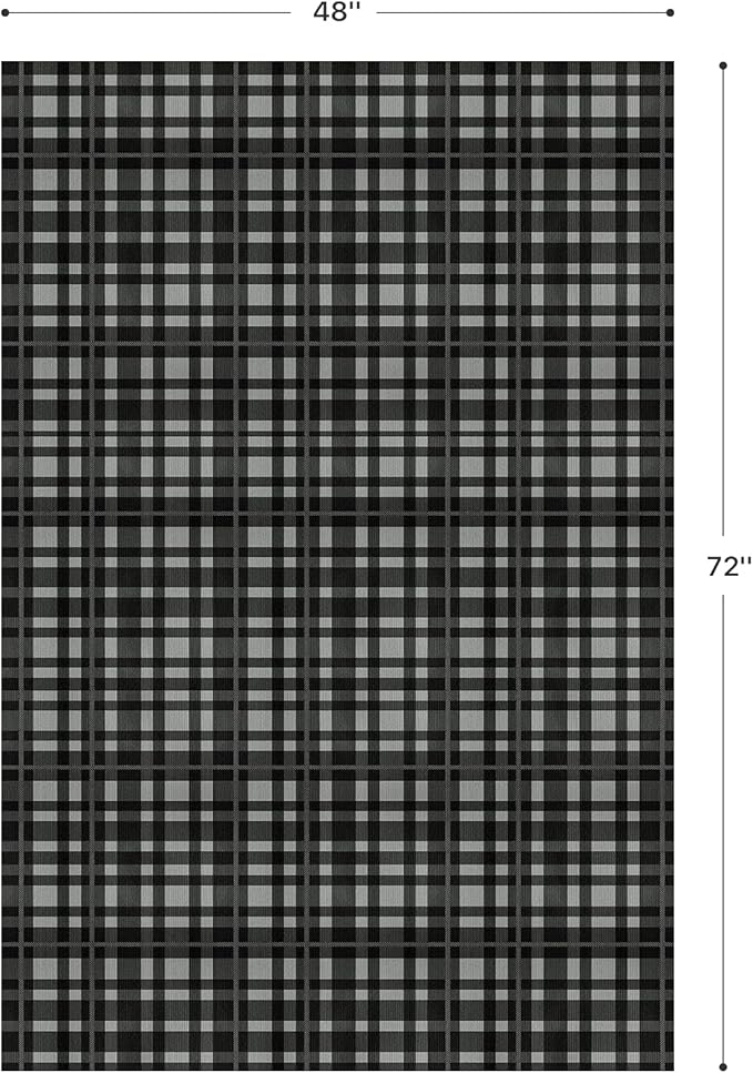 GENIMO Checkered Rug 4x6 Ft Black and White Fine Plaid Outdoor Rug Buffalo Plaid Rugs Mat Fall Doormats Washable Rug for Front Porch Decor Indoor Entrance Patio Balcony Entryway