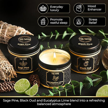 Candle Gift Set of 3 Black Oud|Sage Pine|Eucalyptus Lime Strong Scented Soy Candels Clean Non Toxic Velas Aromáticas Favors for Women Coworkers Friends Guests Also for Fall Diwali Christmas Holidays