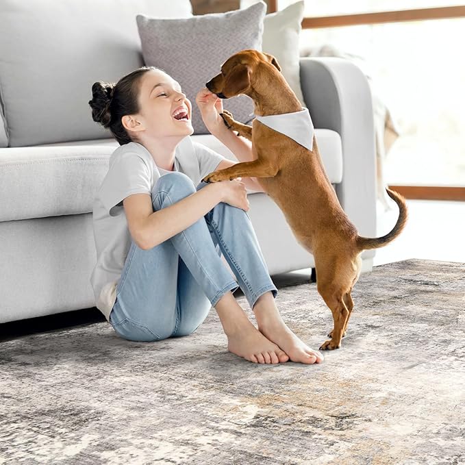 Area Rug Living Room Rugs - 8x10 Modern Abstract Soft Indoor Neutral Washable Rug Stain Resistant Non-Slip Low Pile Carpet for Bedroom Dining Room Home Office - Charcoal Grey