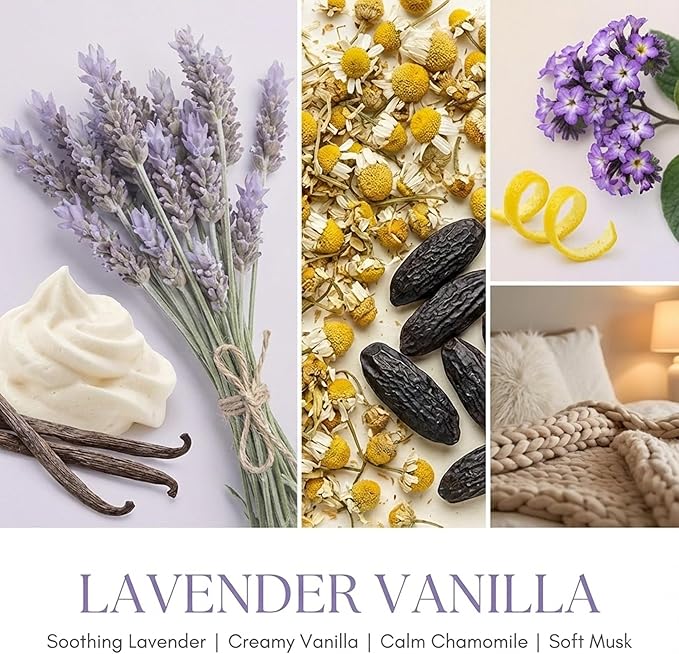 HomeLights Large jar Candle | 4-Wick Long-Lasting Scented Candles, 18oz Natural Soy Wax Candle for Home Scented, Bohemian Natural Textures Gifts for Women & Men, Lavender Vanilla