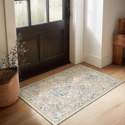 Machine Washable 2x3 Rugs for Entryway: Door Mat Indoor Entrance Small Area Rug Non-Slip Low Pile Kitchen Throw Rug for Front Door Indoor Entrance Bedside Entry Kids Room