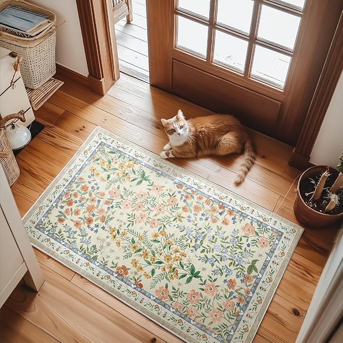 Machine Washable Area Rugs for Entryway: Door Mat Indoor Entrance 2x3 Small Throw Rug Non-Slip Low Pile Kitchen Rug for Front Door Indoor Entrance Entry Bedside Living Room