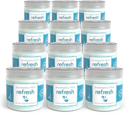 Wipex Odor Eliminator for Home - Eucalyptus & Mint Odor Absorber, 15 Oz Gel Jar, Long-Lasting Freshness, Ideal for Rooms, Offices, and Yoga Studios, Effective Odor Eliminator, 12pk