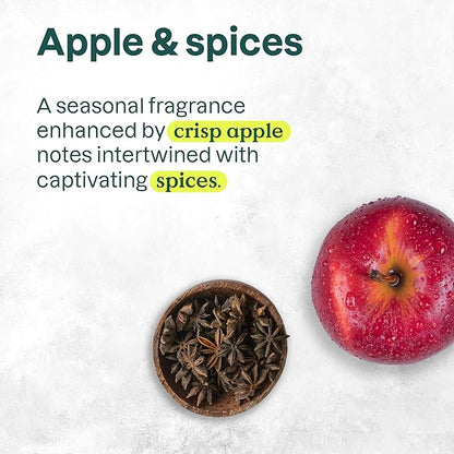 ATTITUDE Limited Edition Liquid Hand Soap, EWG Verified, Plant and Mineral-Based, Vegan Personal Care Products, Apple & Spices, 16 Fl Oz (Pack of 3)