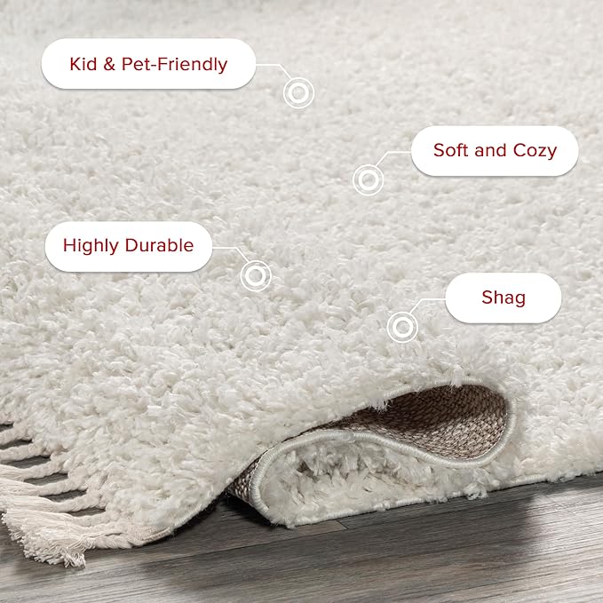 nuLOOM Neva Modern Tasseled Shag Accent Rug, 2x3, Ivory (Pack of 2)