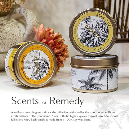 Hidden Label Fall Candles Set, 4 Pack Candle for Home Scented Aromatherapy Candle Gift Set for Women | Stress Relief | Meditation | Yoga | SPA | Bath, Autumn Candle Set