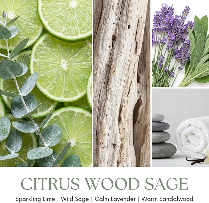 HomeLights Citrus Wood Sage Scented Candles | 6.7oz Soy Candles Eclectic Mixed Styles Large Candle Jars | Ideal Candle Gifts for Events, Home Decor Stress, Relief & Relaxation