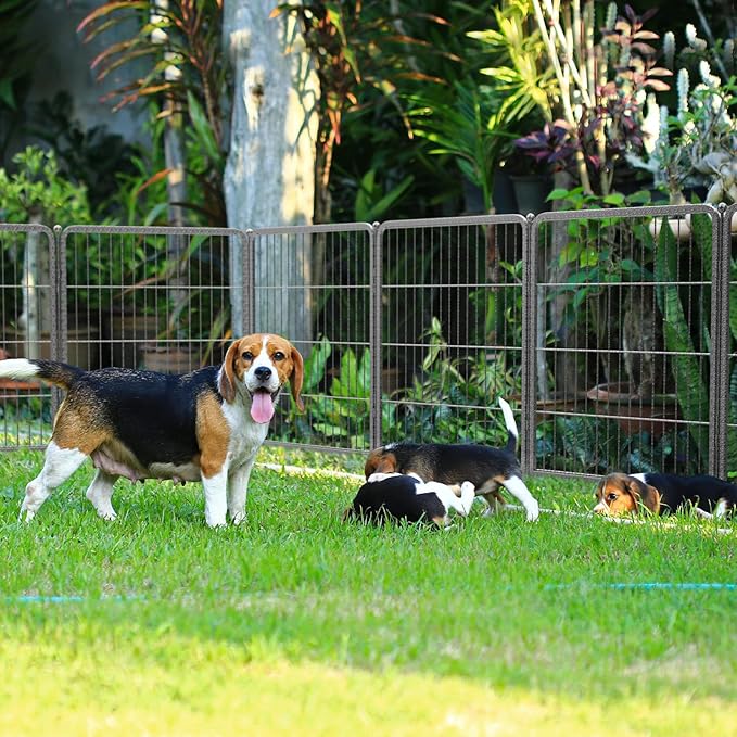 FXW Aster Dog Playpen Designed for Yard, 32inch 24 Panels