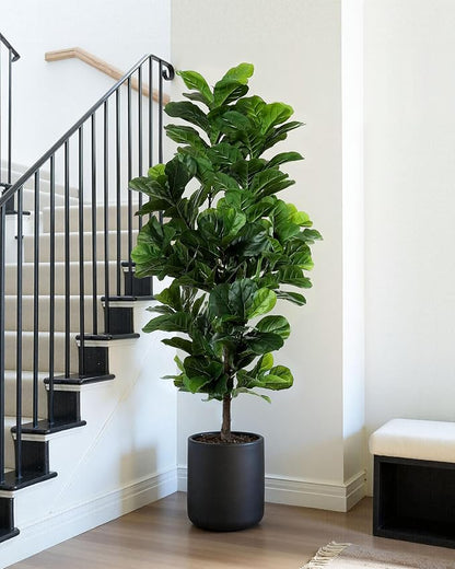 Fiddle Leaf Fig Tree 6ft Tall Artificial Tree in Plastic Pot Fake Ficus Lyrata Plants with 184 Decorative Fiddle Leaves Faux Fig Trees for Home Office Living Room Decor Indoor Outdoor