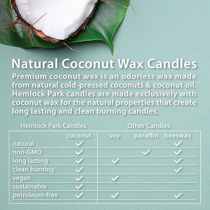 Hemlock Park Amber & Gold Wood Wick Candle Handcrafted with Natural Coconut Wax (Standard 7.2 oz, Sage)