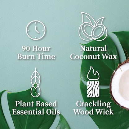 Hemlock Park Crackling Wood Wick Candle Handcrafted with Natural Coconut Wax (Large 16 oz, Bergamot Cedar)