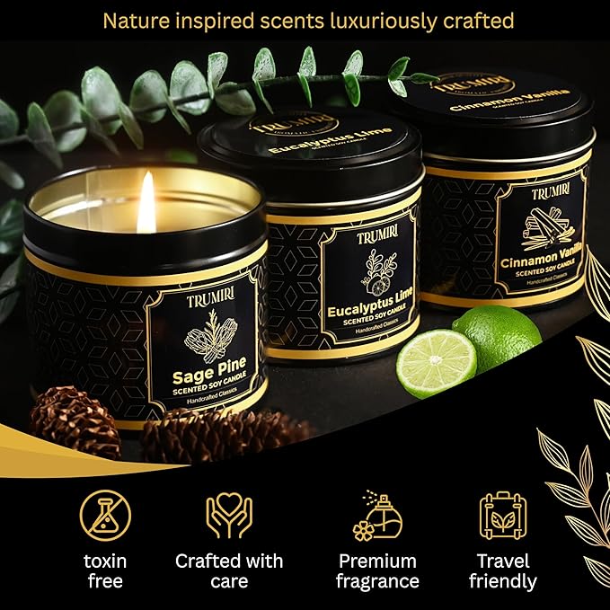 Candle Gift Set Of 3 Sage Pine|Cinnamon Vanilla|Eucalyptus Lime Highly Scented Soy Candels Clean Non Toxic Velas Aromáticas Favors For Women Coworkers Friends Guests Also For Diwali Christmas Holidays