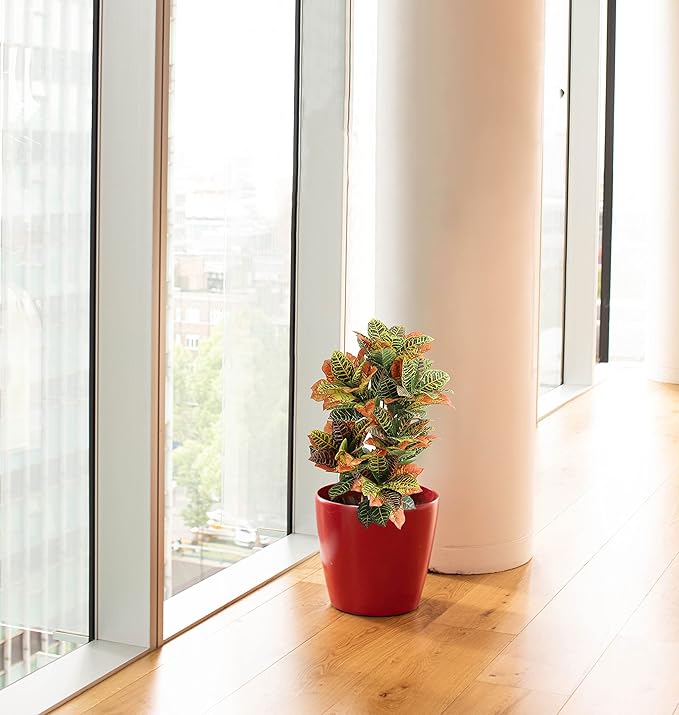 momoplant Artificial Croton Plant, 39inch Faux Fiddle Leaf fig Tree, Artificial Trees for Home Decor, Ficus Lyrata Tree with Plastic Pot, Silk Plants for Home Decor Indoor