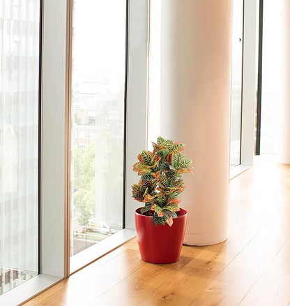 momoplant Artificial Croton Plant, 39inch Faux Fiddle Leaf fig Tree, Artificial Trees for Home Decor, Ficus Lyrata Tree with Plastic Pot, Silk Plants for Home Decor Indoor