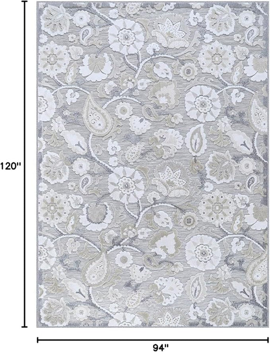 Floral Indoor Outdoor Rugs 8x10 Large Area Rug for Living Room, Patio Decor, Kitchen, and Entryway Rug, Washable Stain Resistant Outside Carpet Beige 8 x 10