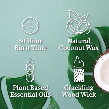 Hemlock Park Amber & Gold Wood Wick Candle Handcrafted with Natural Coconut Wax (Standard 7.2 oz, Prickly Pear)