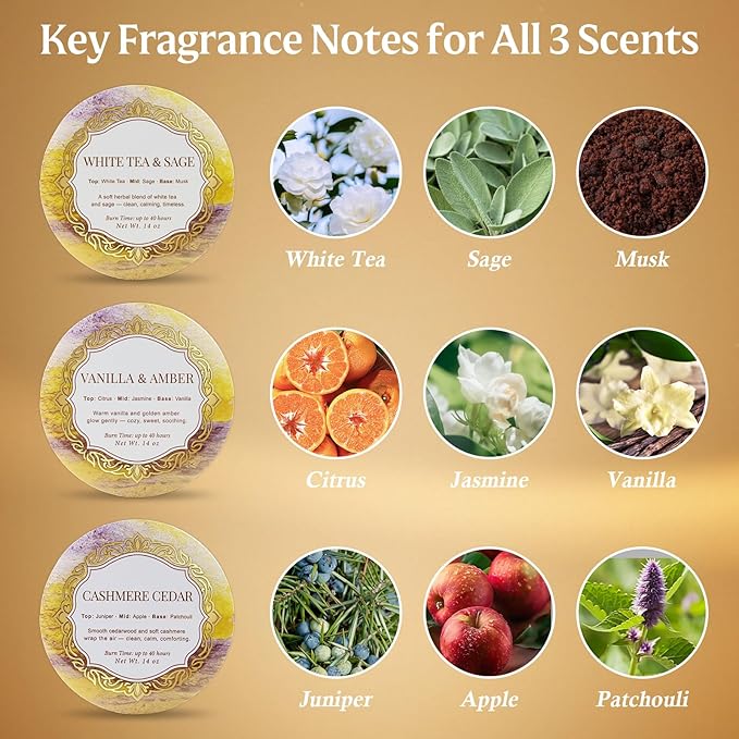 3-Pack Large 3-Wick Tin Candle Set, 14oz Each — White Tea & Sage, Vanilla Amber, Cashmere Cedar — Luxury Strong-Throw Aromatherapy Candles in Gift Gold 6.3 x 7.09 in