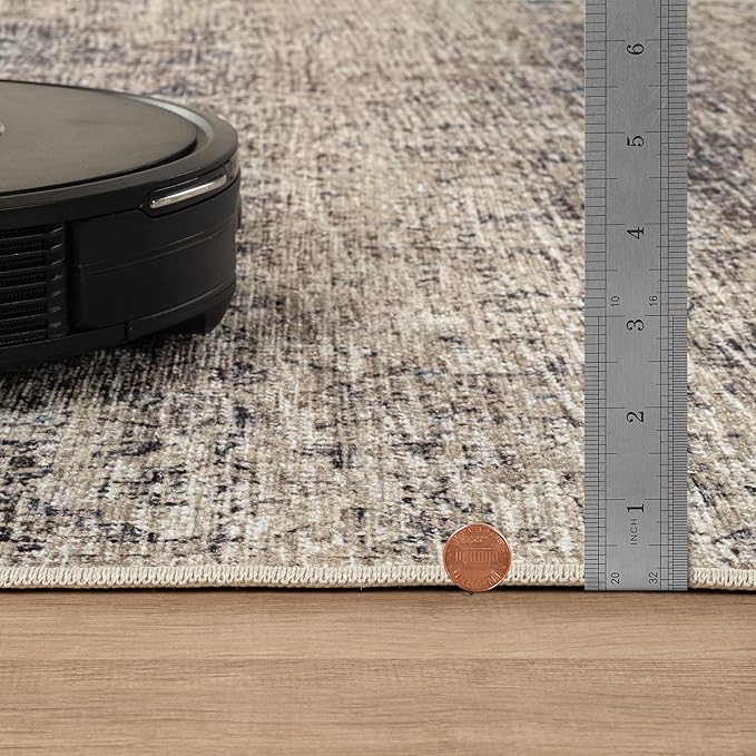 Bloom Rugs Caria Washable Non-Slip 4x6 Rug - Beige Brown/Teal Traditional Area Rug for Living Room, Bedroom, Dining Room, and Kitchen - Exact Size: 4' x 6'