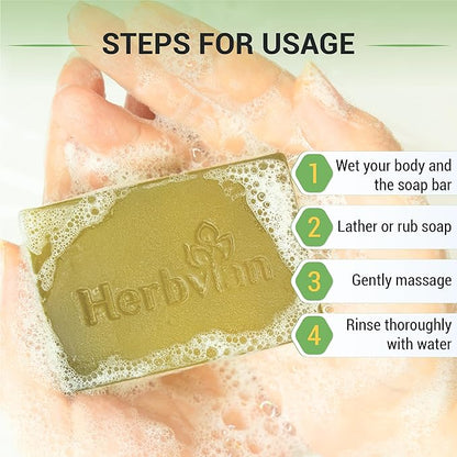 2 PCS Bitter Melon Moringa with Natural Tea Tree Oil Soap Bar for Back Acne, Anti Bacterial Momordica Charantia Body Soap, Anti-Acne, Herbal Cleansing with Melaleuca Quinquenervia Oil