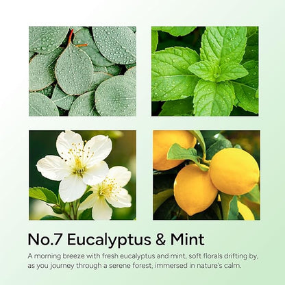 Eucalyptus & Mint Scented Candle, 11oz Aromatherapy Soy Wax Candles for Home Scented, Long Lasting, Eucalyptus Scent, Green Color, Gift for Women, Men, Sisters, Relaxation & Stress Relief
