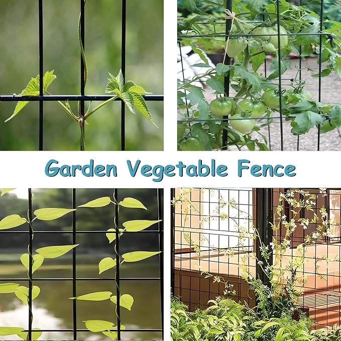 Black Metal Garden Fence, 60inch(H) x 50ft(L), 2 inch x 3 inch,14GA 2/3/4/5/6 Ft Tall Chicken Wire PVC Coated Welded Wire Mesh Roll for Dogs Border Yard Vegetable Plant Protection Poultry Netting