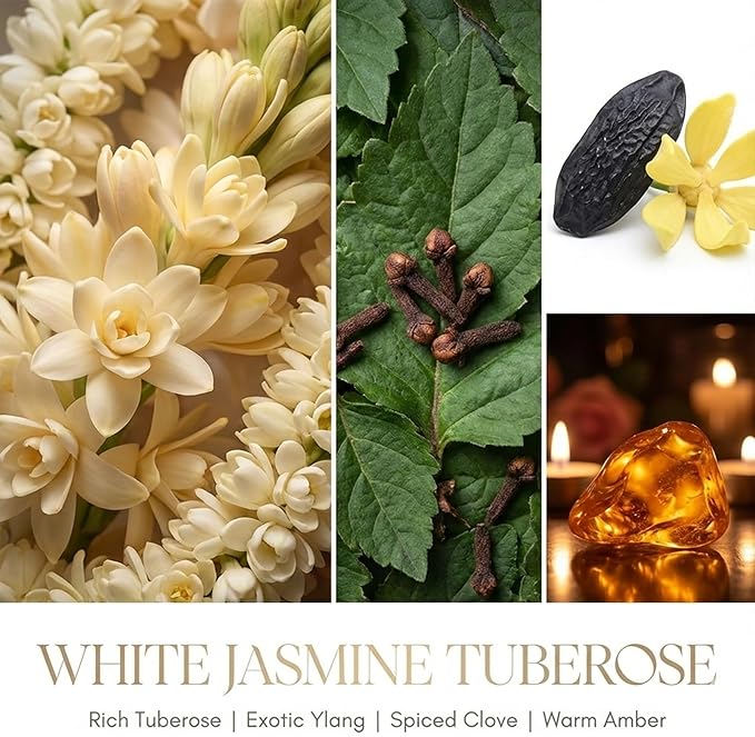 HomeLights Scented Candles for Women & Men, 6.7oz Candle Jars Aromatherapy Single Wick Candle, Ideal for Bohemian Natural Textures Home Decor and Gifts, White Jasmine Tuberose