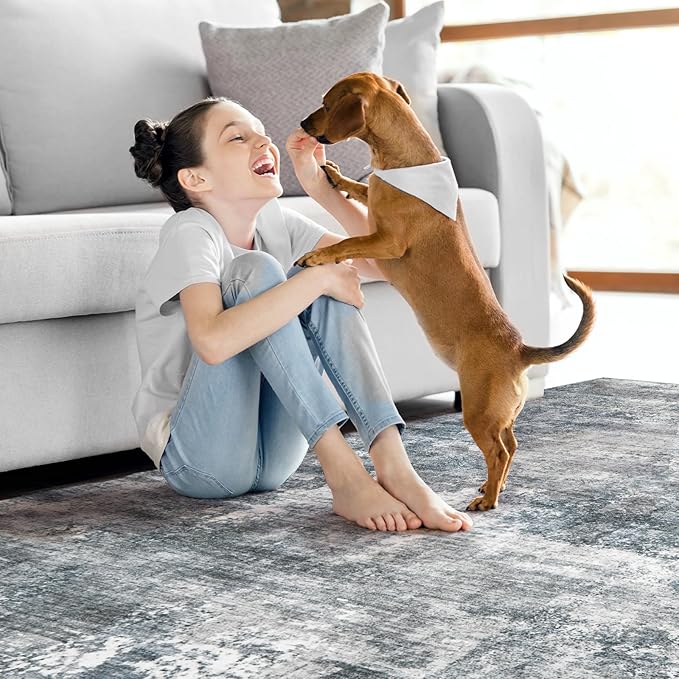 Modern Abstract Washable Area Rug - 5x7 Large Living Room Rugs Soft Stain Resistant Non-Slip Low Pile Foldable Neutral Carpet for Indoor Bedroom Dining Room Home Studio Office - Blue/Grey